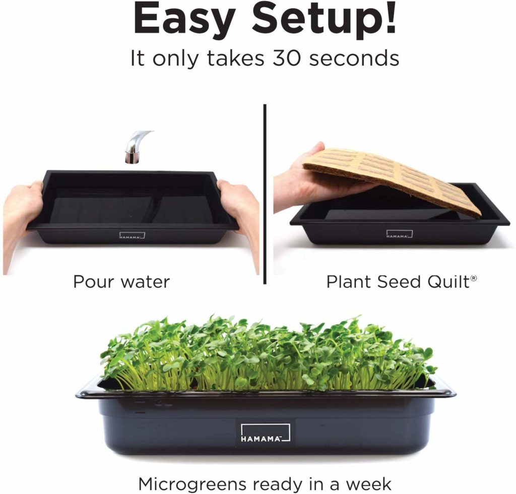 HAMAMA Microgreens 