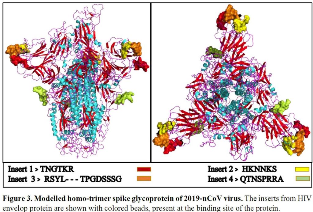hiv found in coronavirus strand