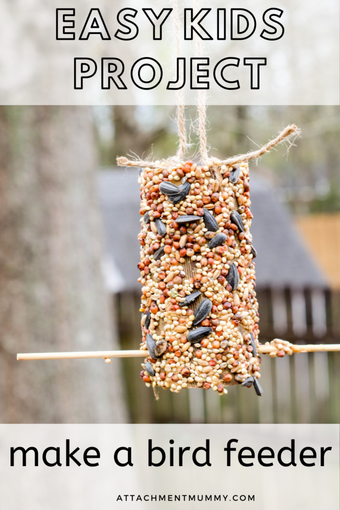 bird feeder out of tp roll 