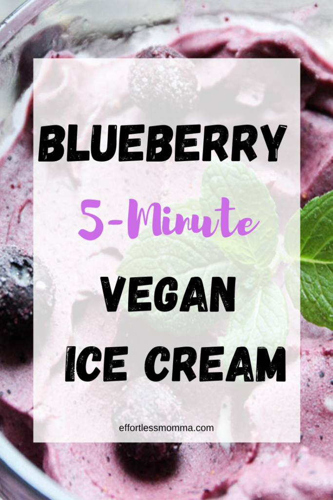 blueberry vegan ice cream 